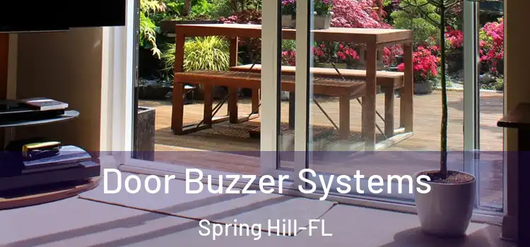  Door Buzzer Systems Spring Hill-FL