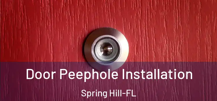  Door Peephole Installation Spring Hill-FL