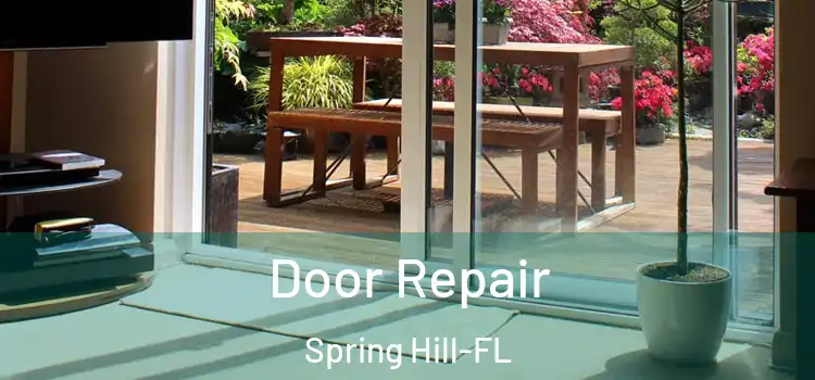  Door Repair Spring Hill-FL
