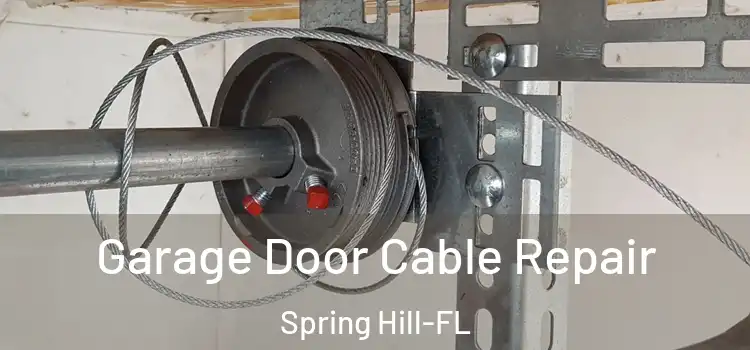 Garage Door Cable Repair Spring Hill-FL