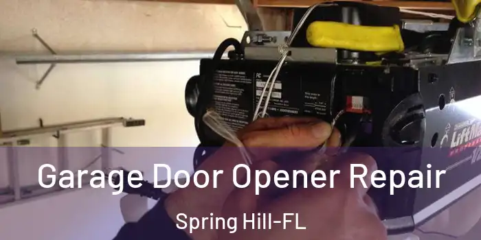  Garage Door Opener Repair Spring Hill-FL
