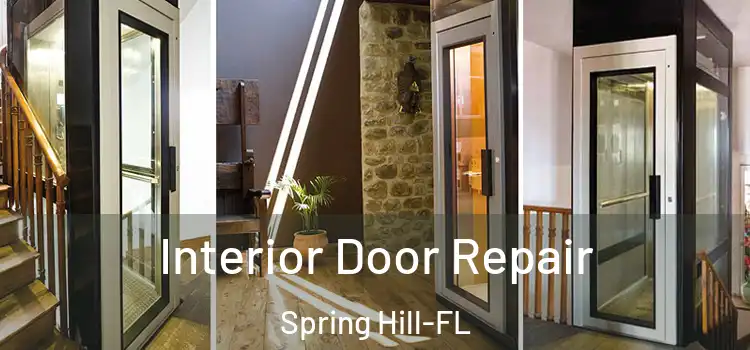 Interior Door Repair Spring Hill-FL
