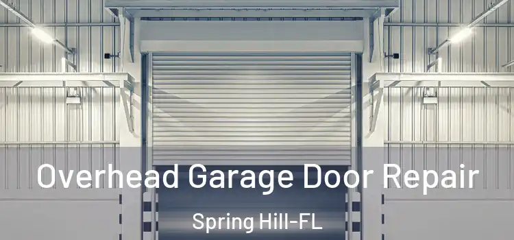  Overhead Garage Door Repair Spring Hill-FL