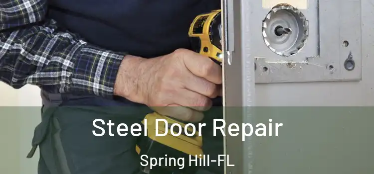  Steel Door Repair Spring Hill-FL